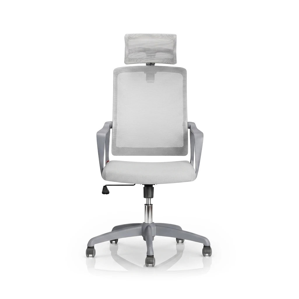 SpineGuard Pro™ Ergonomic Chair