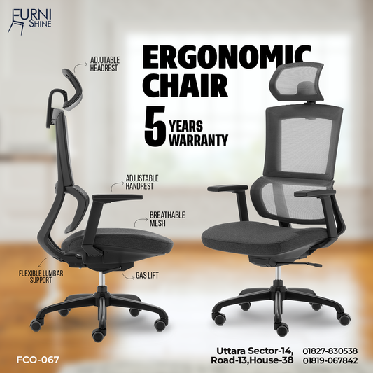 Eargonomic Chair