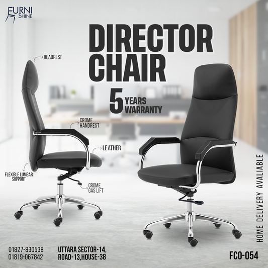 DIRECTOR CHAIR