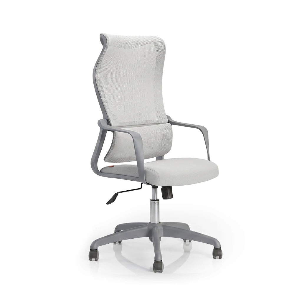 SpineGuard Ergonomic Office Chair