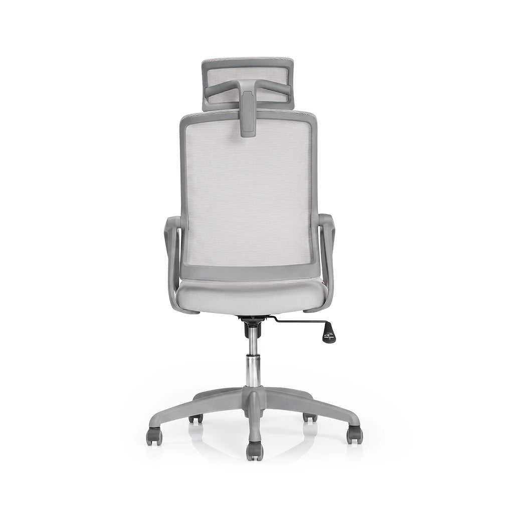 SpineGuard Pro™ Ergonomic Chair