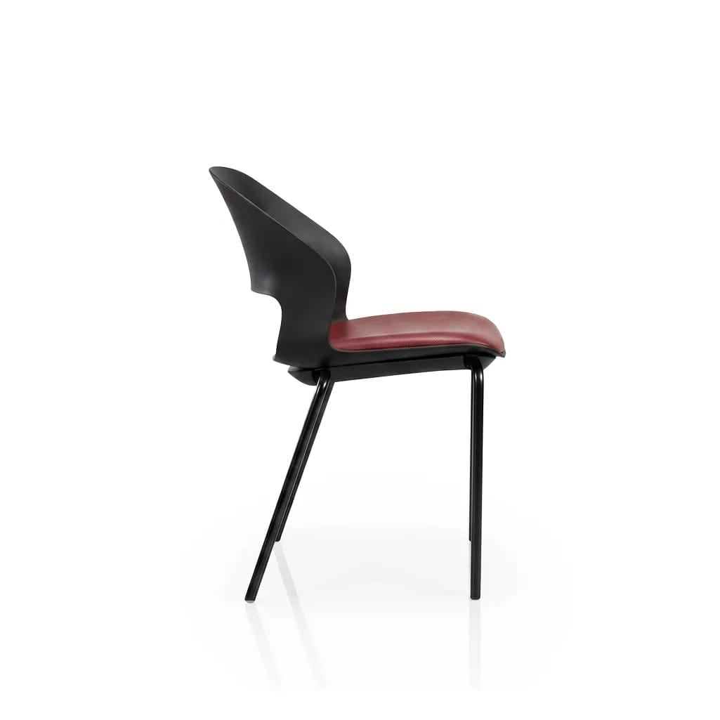 UrbanCurve Premium Café & Dining Chair