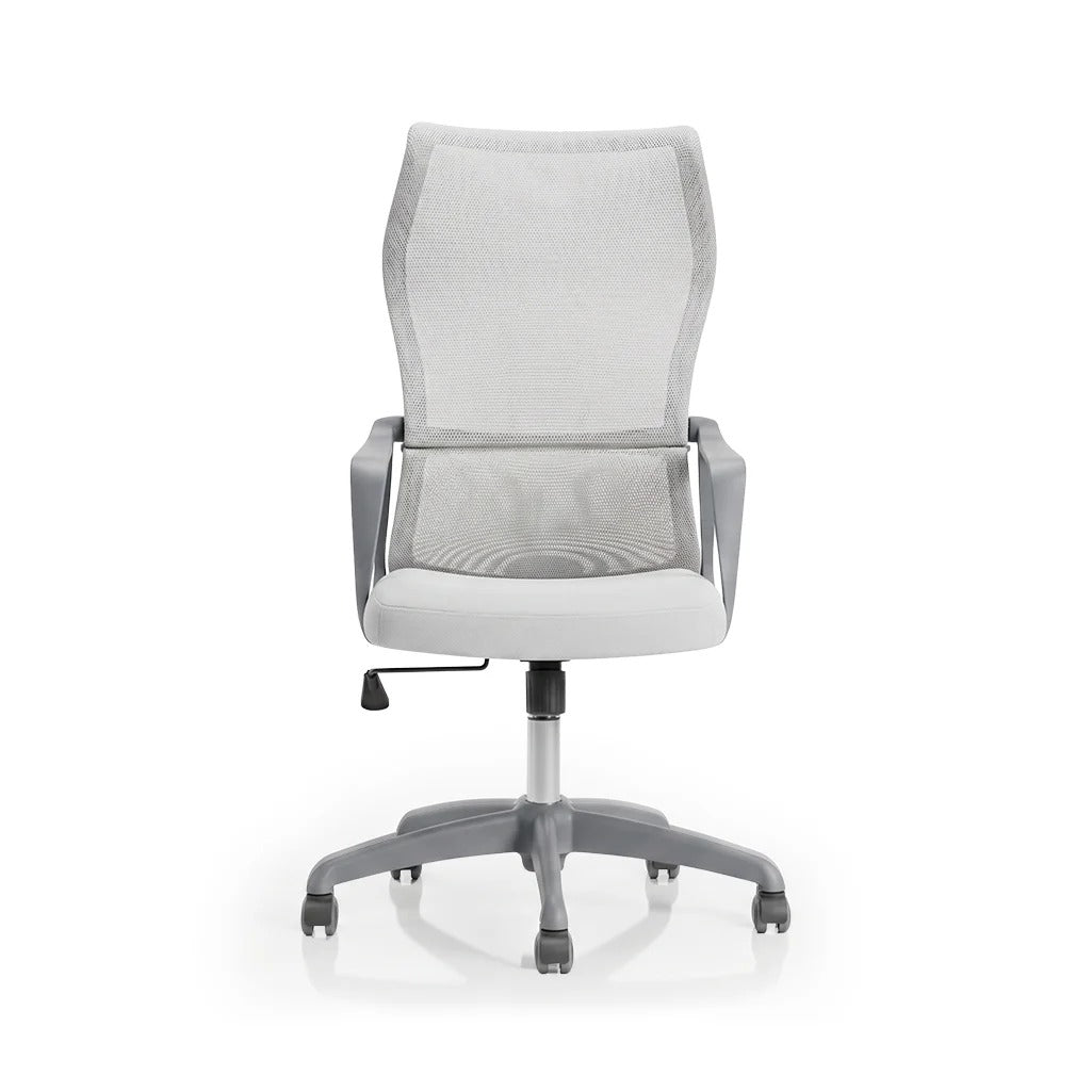 SpineGuard Ergonomic Office Chair