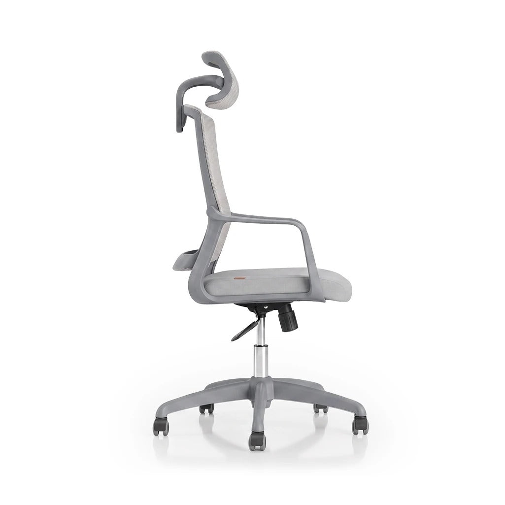 SpineGuard Pro™ Ergonomic Chair