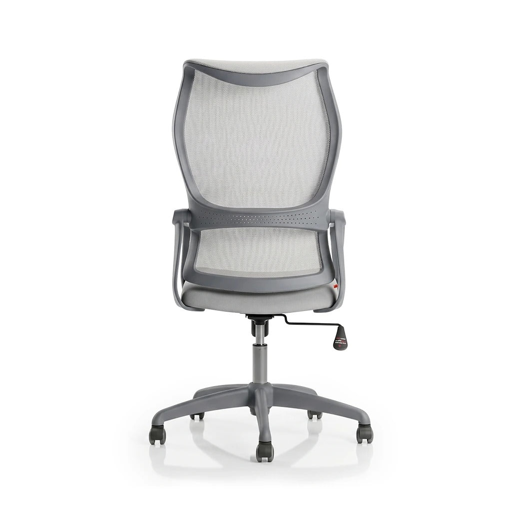 SpineGuard Ergonomic Office Chair