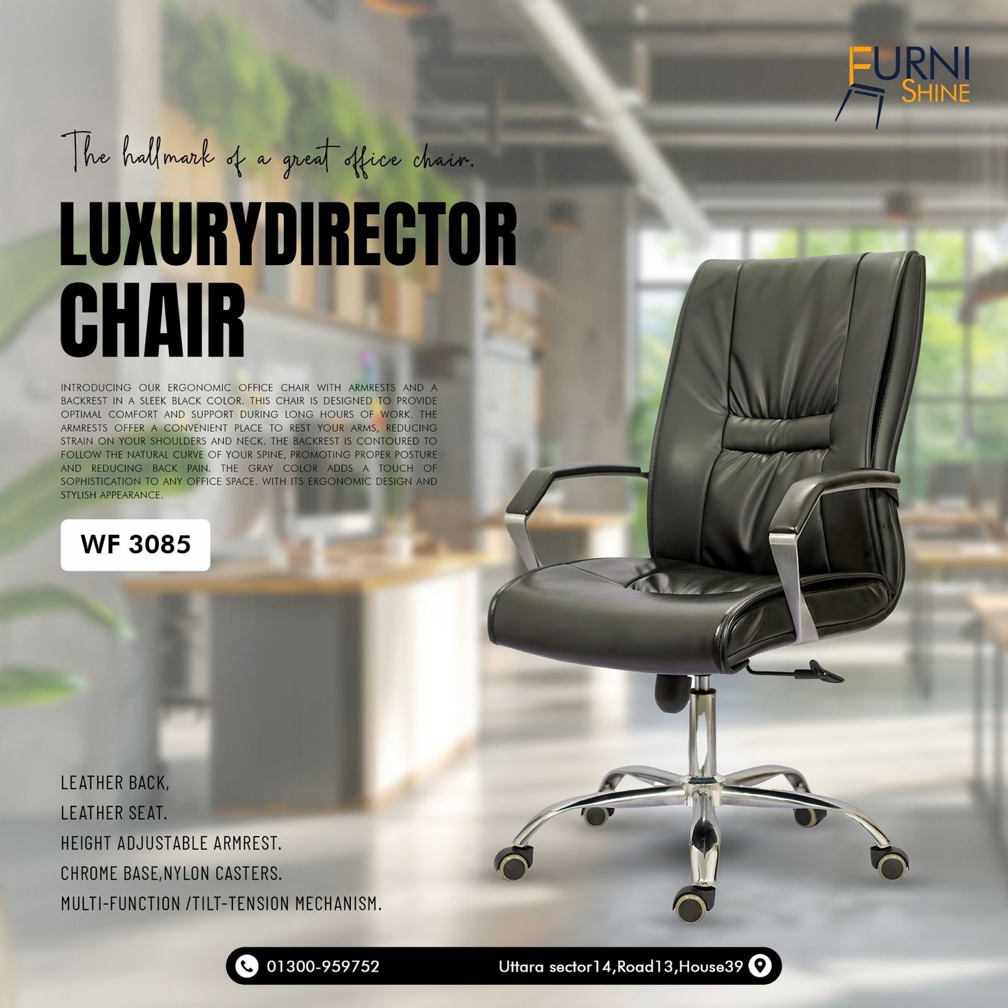 Luxury Director Chair..